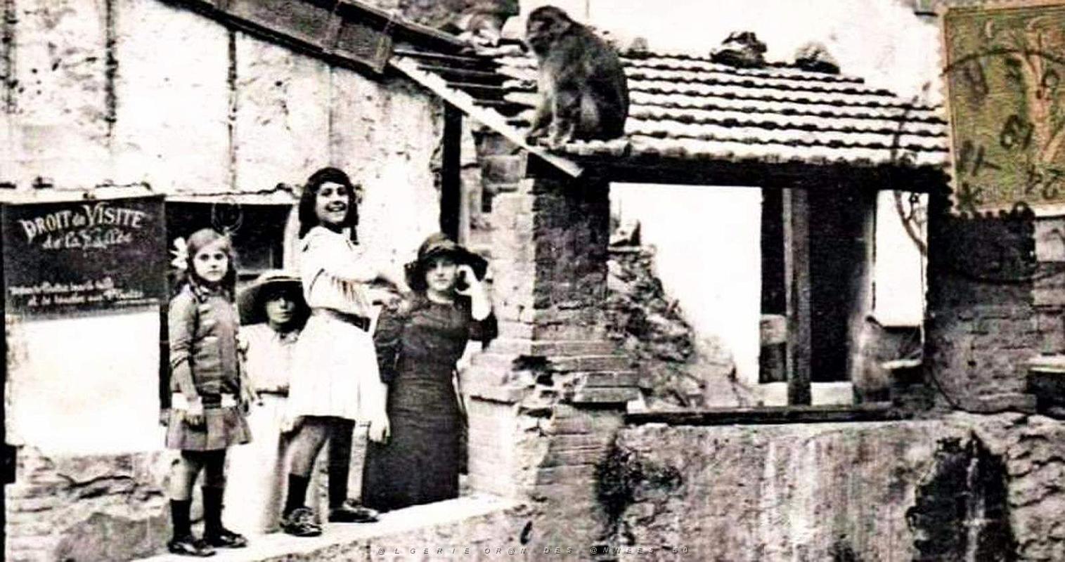 997- Blida - Gorges de la Chiffa - Hotel du Ruisseau des Singes2.jpg